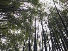 -四洞沟景区
