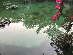 -汕尾莲花山温泉度假村