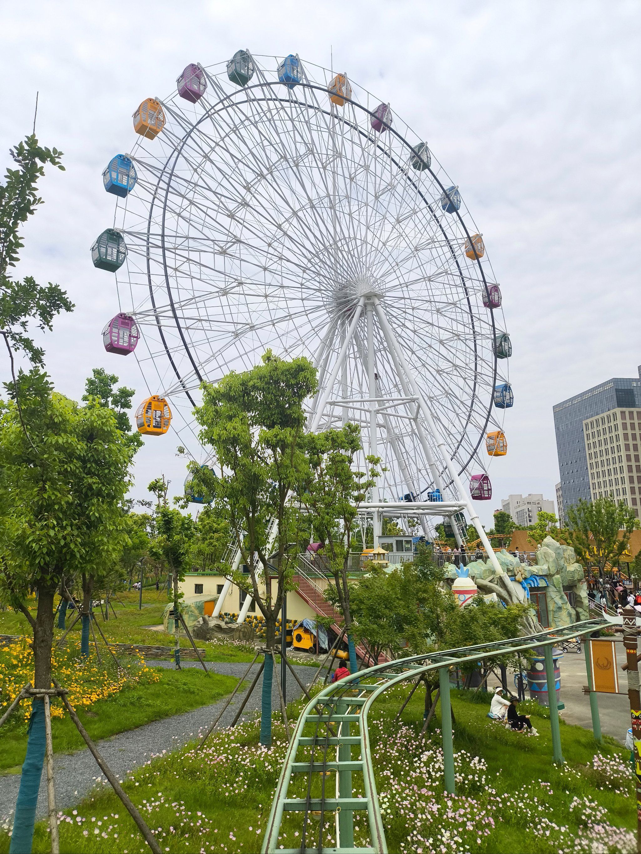 藏在梧桐雨公园里的春天