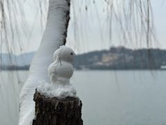 -颐和园