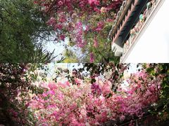 -竹子林(地铁站)