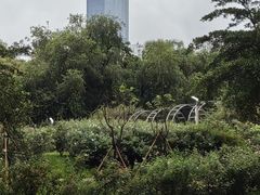 -人民公园(罗湖区)