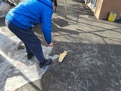 -可心烤鱼