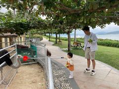 -三亚亚龙湾天域度假酒店