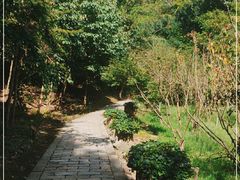 -上海佘山国家森林公园天马山园