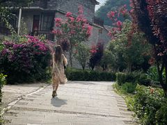 -高荡千年布依古寨旅游景区