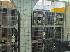 -可蒙动物医院·猫科·骨科中心(首义路店)