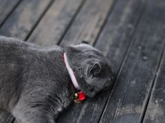 -SeekSeeking咖啡专门店(堰塘街店)