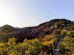 -大岭沟猕猴桃谷风景区