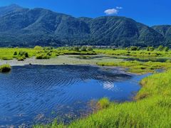 -腾冲北海湿地
