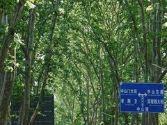 -南京国际会议大酒店