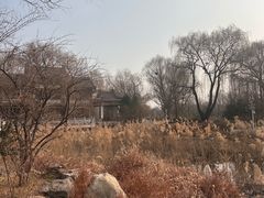 -济南国际园博园