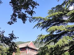 -香山公园