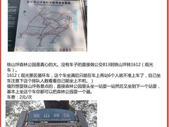 -铁山坪森林公园
