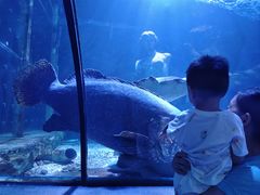 -太平洋海底世界