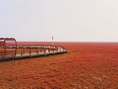 -红海滩国家风景廊道