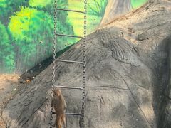 -无锡动物园·太湖欢乐园