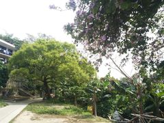-南丫岛