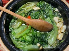 啫啫生菜煲-沙胆彪炭炉牛杂煲(上海日月光广场店)