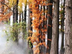 -东湖落雁景区