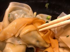 野菜鲜肉大馄饨-真真鲜馄饨店(启蒙路店)