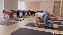 -酉嘉瑜伽YO+YOGA