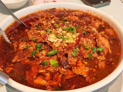 -红樱桃·新派辽菜(北行店)