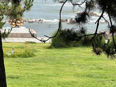 -青岛第三海水浴场