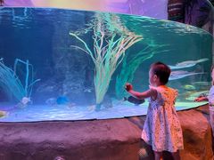 -沈阳海洋探索中心