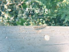 -南京市江宁方山