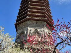 -玲珑塔公园