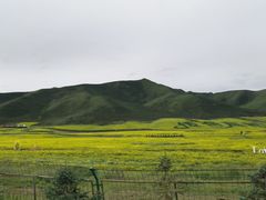 -扁都口生态休闲旅游区