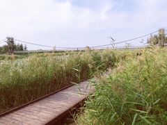 -西青郊野公园