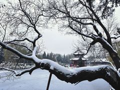 -莲池书院博物馆