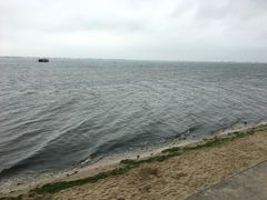 -北海金海湾红树林生态旅游区