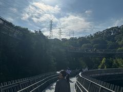-福道