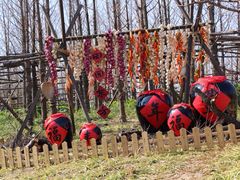 iphone_upload_pic-田园东方蜜桃村的田野营地