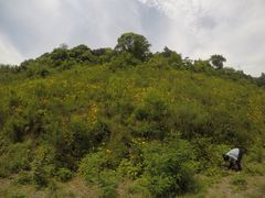 -宁波九龙湖开元度假村