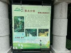 -广州市帽峰山景区