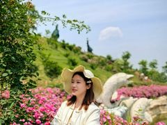-都江堰玫瑰花溪谷