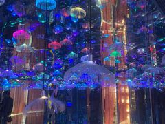 -成都梵高星空艺术馆(春熙路旗舰店)