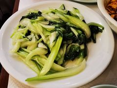 -天府乐园