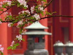 -颐和园