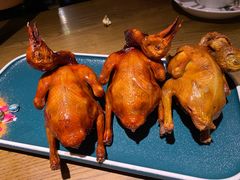 红烧鸽-大鸽饭(岗顶店)
