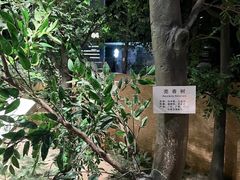 -香市公园-中国沉香文化博物馆