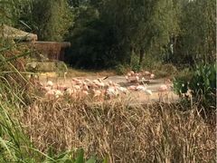 iphone_upload_pic-南昌动物园