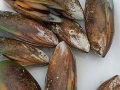 -崖口红树林海鲜餐厅
