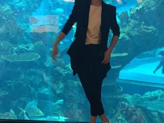-乐从天佑城海洋馆