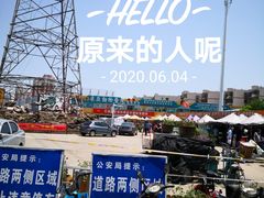 -中环花鸟鱼虫市场