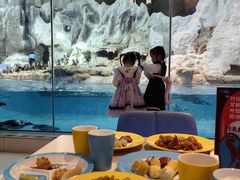 -帝企鹅自助餐厅•儿童岛•真企鹅(长隆企鹅酒店)